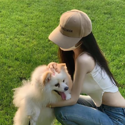 木府风云
