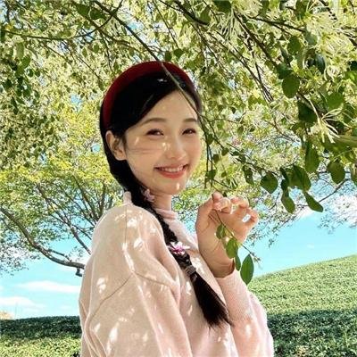 小狗当家